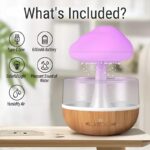 rain cloud humidifier